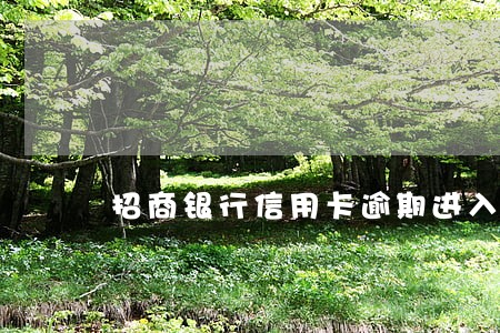 招商银行信用卡逾期进入停卡 招商银行信用卡逾期进入停卡