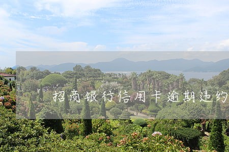 招商银行信用卡逾期违约金免除