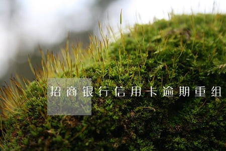 招商银行信用卡逾期重组怎么办