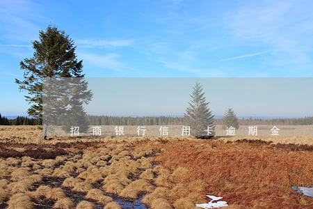 招商银行信用卡逾期金 招商银行信用卡逾期金