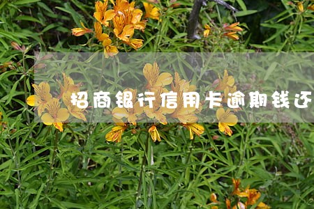 招商银行信用卡逾期钱还了