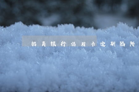 招商银行信用卡逾期陷阱 招商银行信用卡逾期陷阱