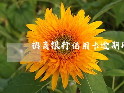 招商银行信用卡逾期风控 招商银行信用卡逾期风控