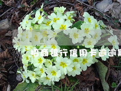 招商银行信用卡逾逾期会上门吗