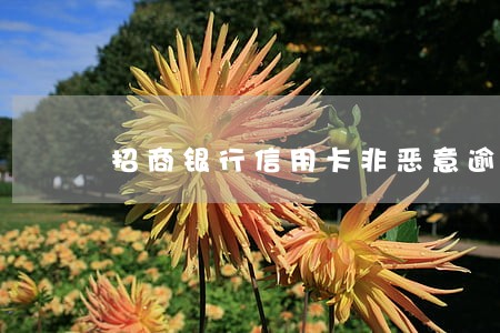 招商银行信用卡非恶意逾期澄清