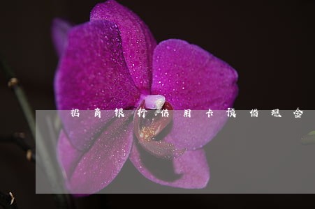 招商银行信用卡预借现金还款逾期 招商银行信用卡预借现金还款逾期