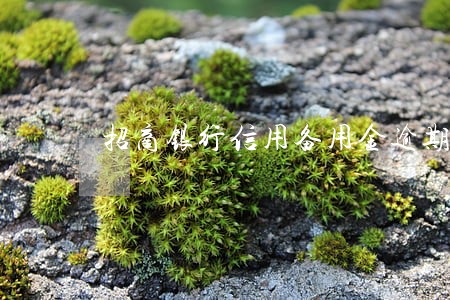 招商银行信用备用金逾期 招商银行信用备用金逾期