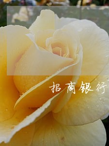 招商银行信用逾期停卡恢复 招商银行信用逾期停卡恢复
