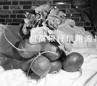 招商银行信用逾期协商 招商银行信用逾期协商