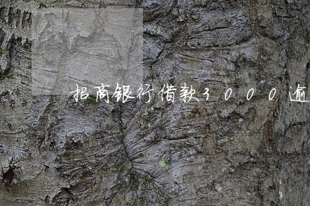 招商银行借款3000逾期还款 招商银行借款3000逾期还款