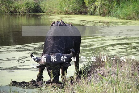 招商银行借款逾期一次严重吗 招商银行借款逾期一次严重吗
