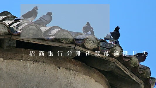 招商银行分期还款能逾期几天 招商银行分期还款能逾期几天