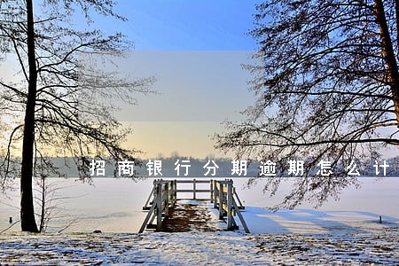 招商银行分期逾期怎么计算利息 招商银行分期逾期怎么计算利息