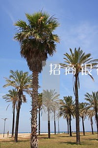 招商银行协商信用卡逾期 招商银行协商信用卡逾期