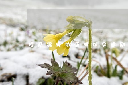 招商银行协商成功又逾期了 招商银行协商成功又逾期了