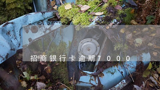招商银行卡逾期7000 招商银行卡逾期7000