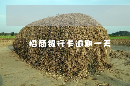招商银行卡逾期一天 招商银行卡逾期一天