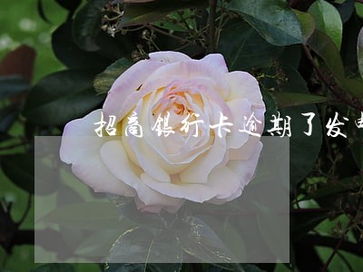 招商银行卡逾期了发邮件 招商银行卡逾期了发邮件