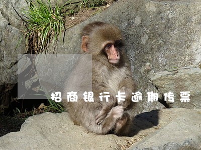 招商银行卡逾期传票 招商银行卡逾期传票