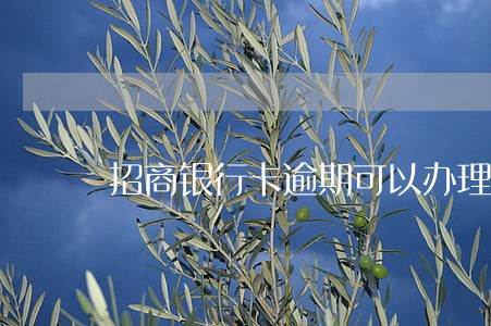 招商银行卡逾期可以办理储蓄卡吗 招商银行卡逾期可以办理储蓄卡吗