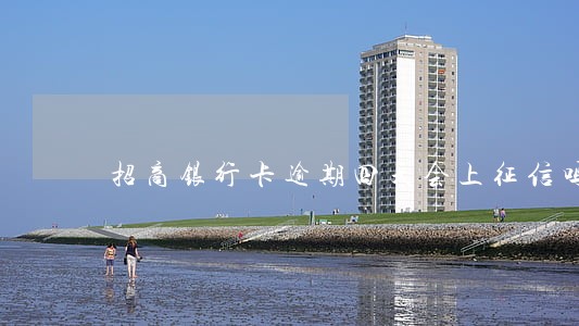 招商银行卡逾期四天会上征信吗 招商银行卡逾期四天会上征信吗