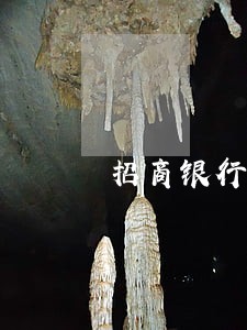 招商银行卡逾期多久会发传票 招商银行卡逾期多久会发传票