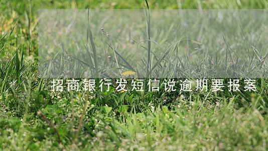 招商银行发短信说逾期要报案 招商银行发短信说逾期要报案