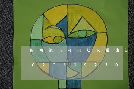 招商银行可以还交通违法缴款吗/2023020309270