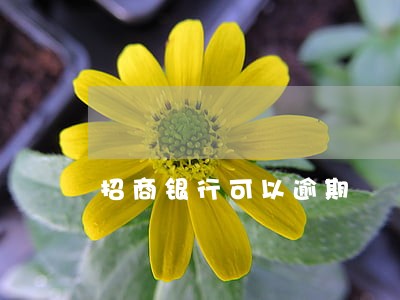 招商银行可以逾期 招商银行可以逾期