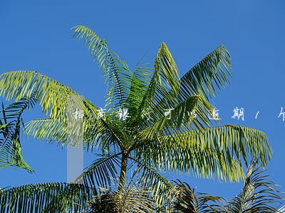 招商银行可以逾期1个月嘛 招商银行可以逾期1个月嘛