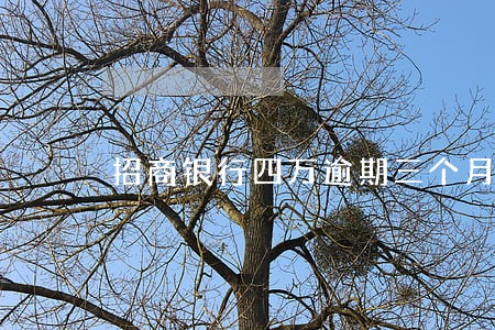 招商银行四万逾期三个月 招商银行四万逾期三个月