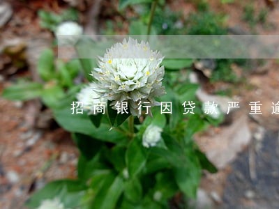 招商银行因贷款严重逾期 招商银行因贷款严重逾期