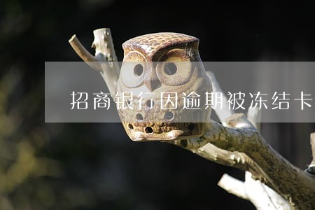 招商银行因逾期被冻结卡片怎么办 招商银行因逾期被冻结卡片怎么办