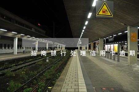 招商银行处理信用卡逾期 招商银行处理信用卡逾期
