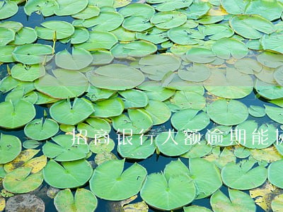 招商银行大额逾期能协商吗 招商银行大额逾期能协商吗
