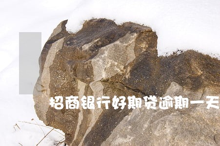 招商银行好期贷逾期一天怎么处理 招商银行好期贷逾期一天怎么处理