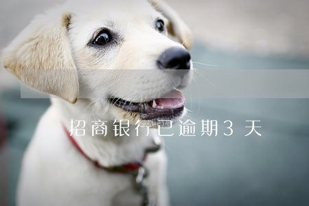 招商银行已逾期3天 招商银行已逾期3天