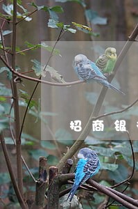 招商银行帐单金额逾期 招商银行帐单金额逾期