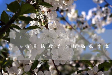 招商银行广东钱端理才逾期 招商银行广东钱端理才逾期
