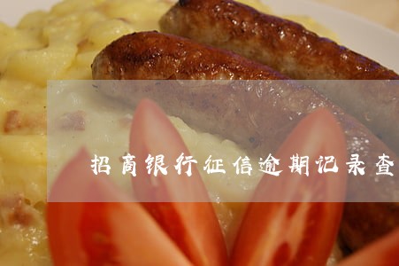 招商银行征信逾期记录查询 招商银行征信逾期记录查询