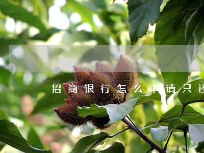 招商银行怎么申请只还本金 招商银行怎么申请只还本金