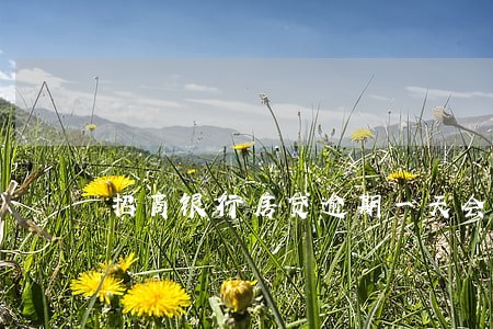 招商银行房贷逾期一天会怎么样 招商银行房贷逾期一天会怎么样