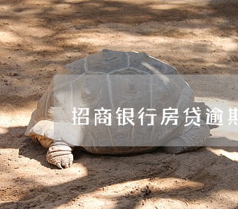 招商银行房贷逾期罚息 招商银行房贷逾期罚息