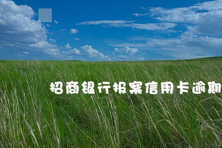 招商银行报案信用卡逾期 招商银行报案信用卡逾期