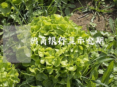招商银行显示逾期 招商银行显示逾期