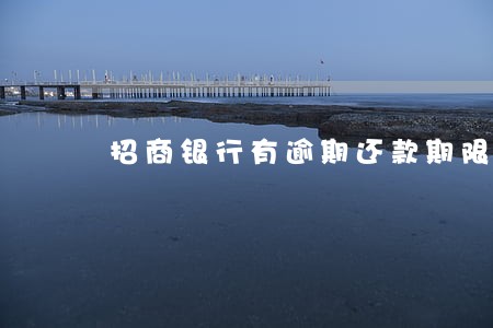 招商银行有逾期还款期限