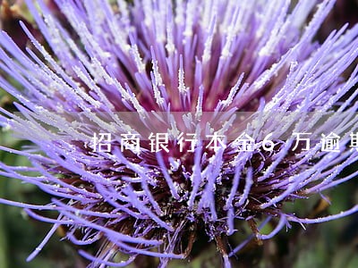 招商银行本金6万逾期