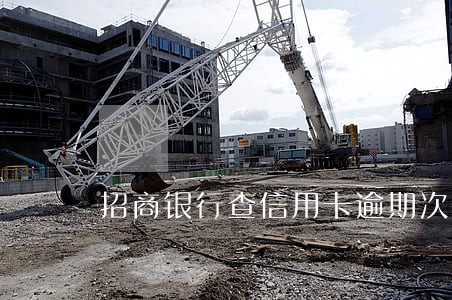 招商银行查信用卡逾期次数