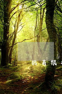 招商银行欠3万逾期四月 招商银行欠3万逾期四月