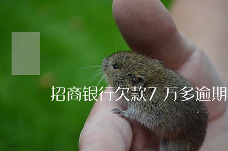 招商银行欠款7万多逾期1年